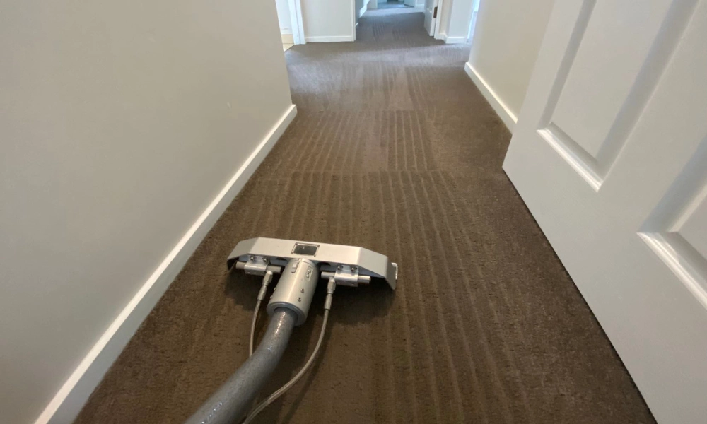 Carpet Steam